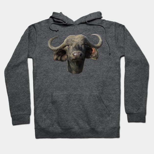 Water Buffalo Ox Portrait Hoodie by ellenhenryart